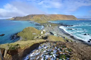 australia-memperluas-taman-laut-macquarie-island-area-lebih-besar-dari-jerman